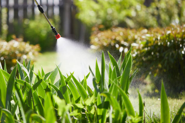 Tamper-Resistant Bait Stations for Rodents in Hawkins
