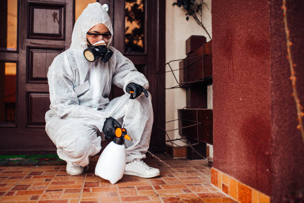 Attic and Crawl Space Rodent Treatment in Hawkins