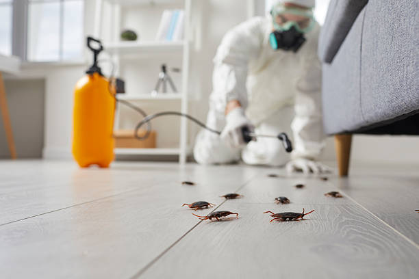Commercial Rodent Management in Hawkins